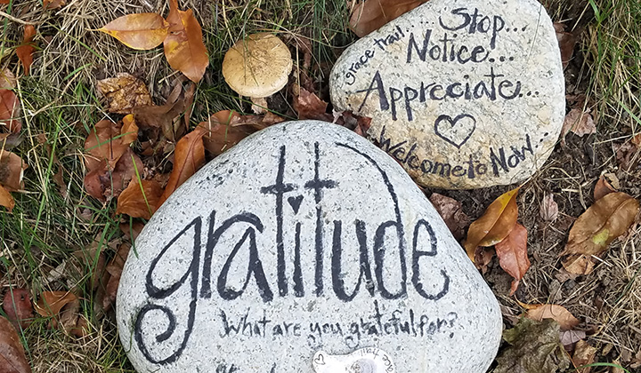 Gratitude: Finding light in the darkness